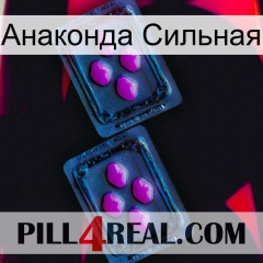 Анаконда Сильная 03